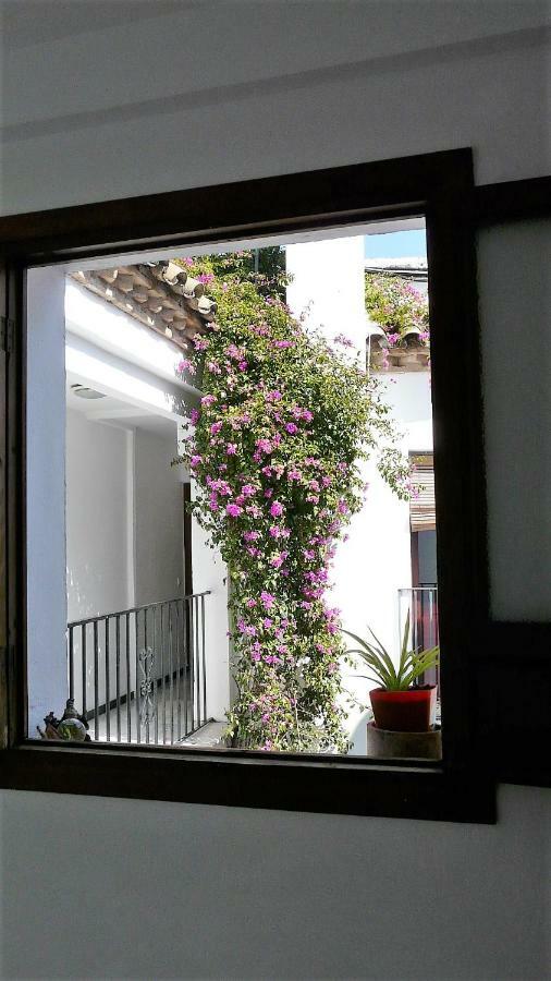 Appartement Lola5 à Cordoue Extérieur photo